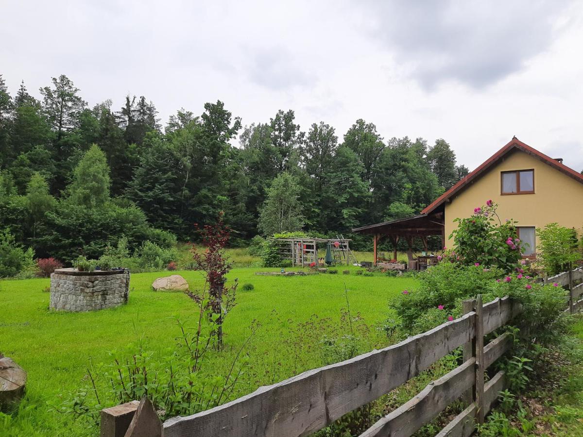 Majcia Villa Jelenia Góra Exteriör bild