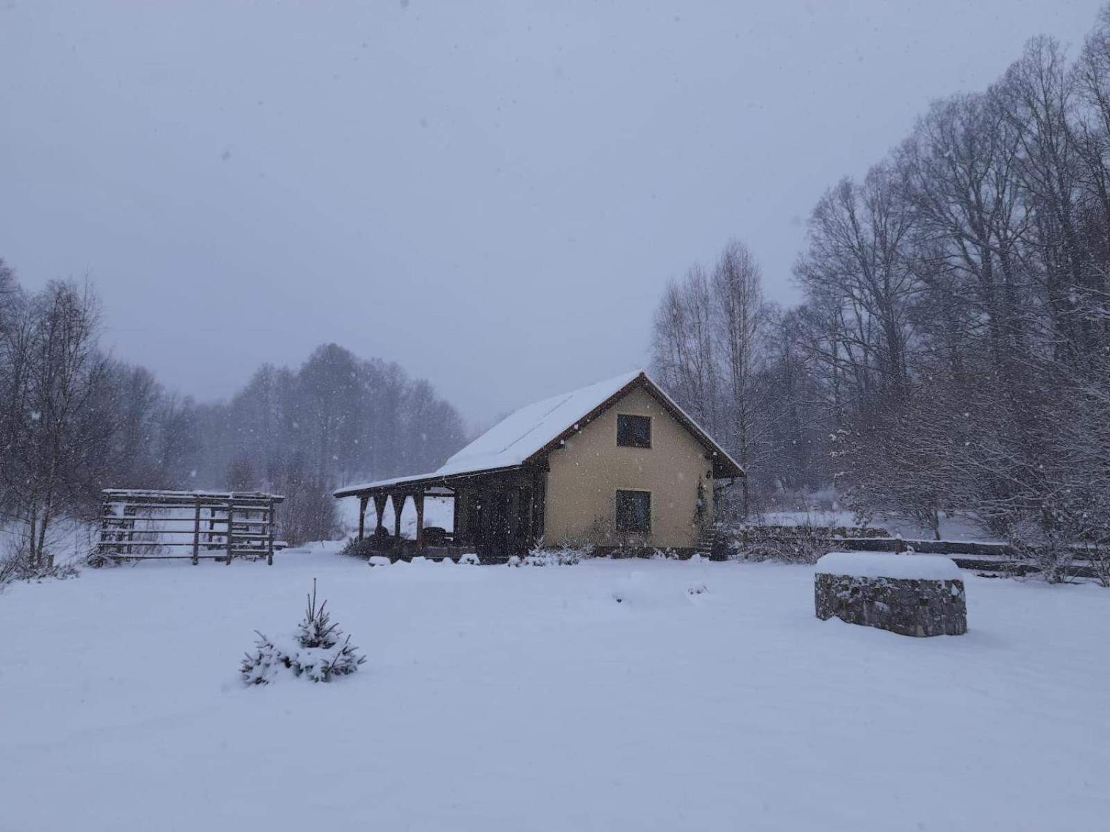 Majcia Villa Jelenia Góra Exteriör bild