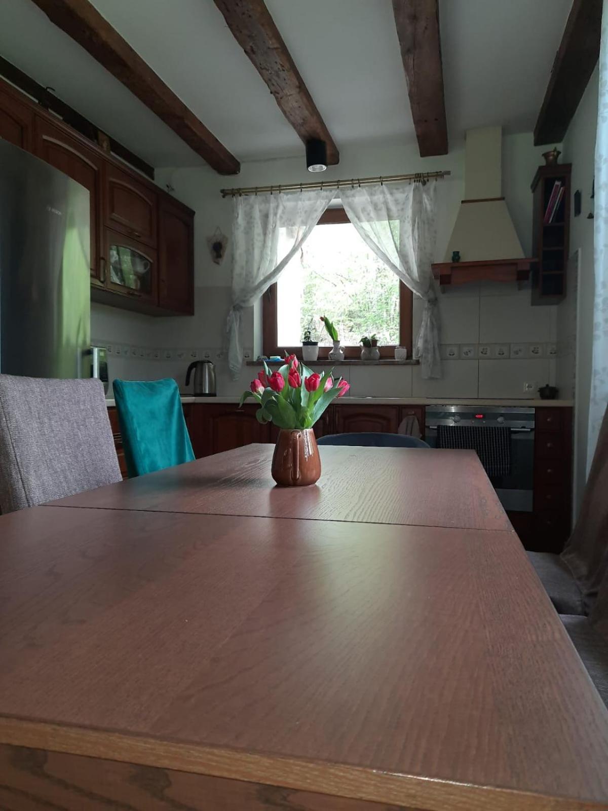 Majcia Villa Jelenia Góra Exteriör bild