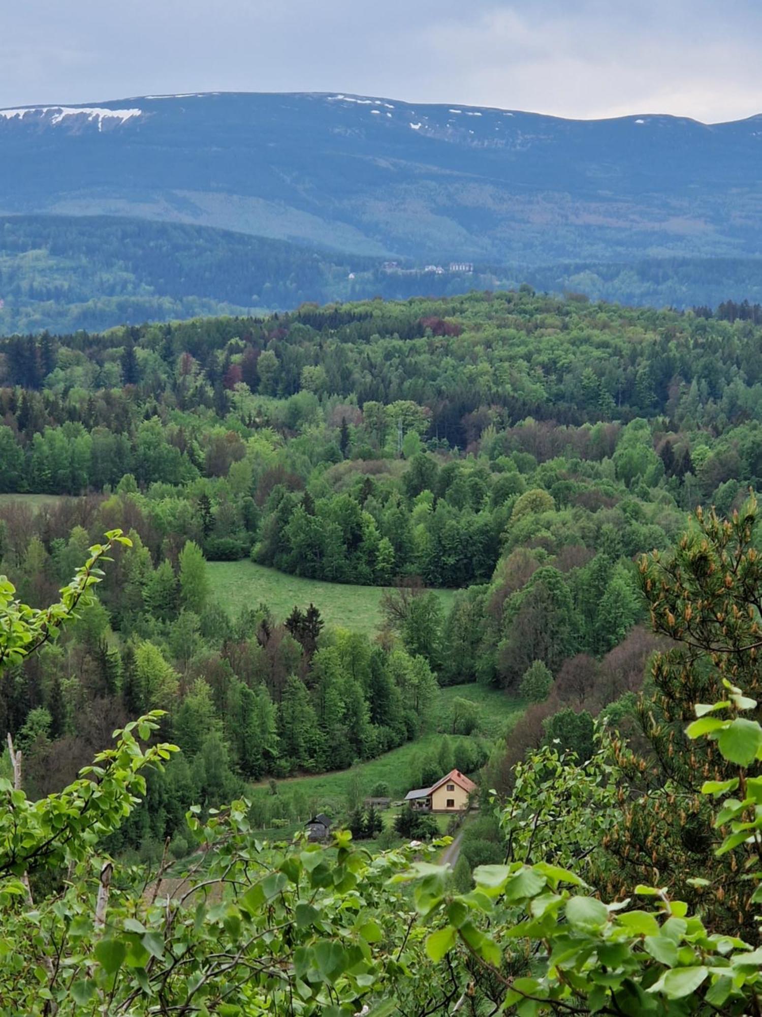 Majcia Villa Jelenia Góra Exteriör bild